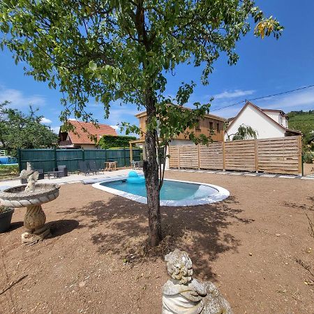 Апартаменты Au Coeur Des Vignes Бергхейм Экстерьер фото