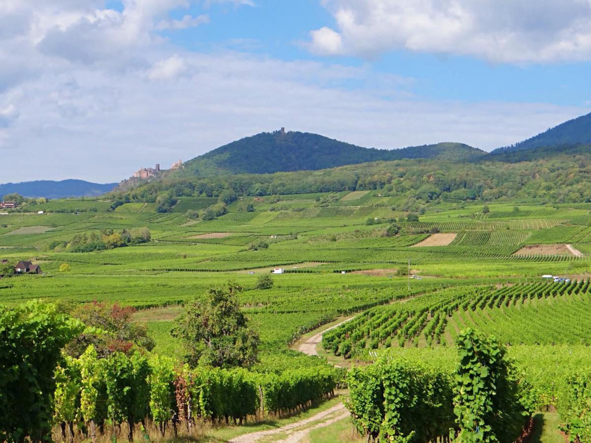 Апартаменты Au Coeur Des Vignes Бергхейм Экстерьер фото