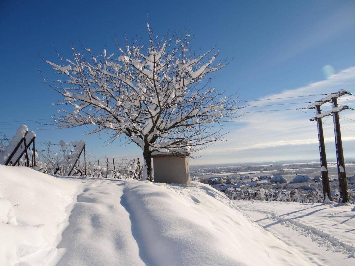 Апартаменты Au Coeur Des Vignes Бергхейм Экстерьер фото
