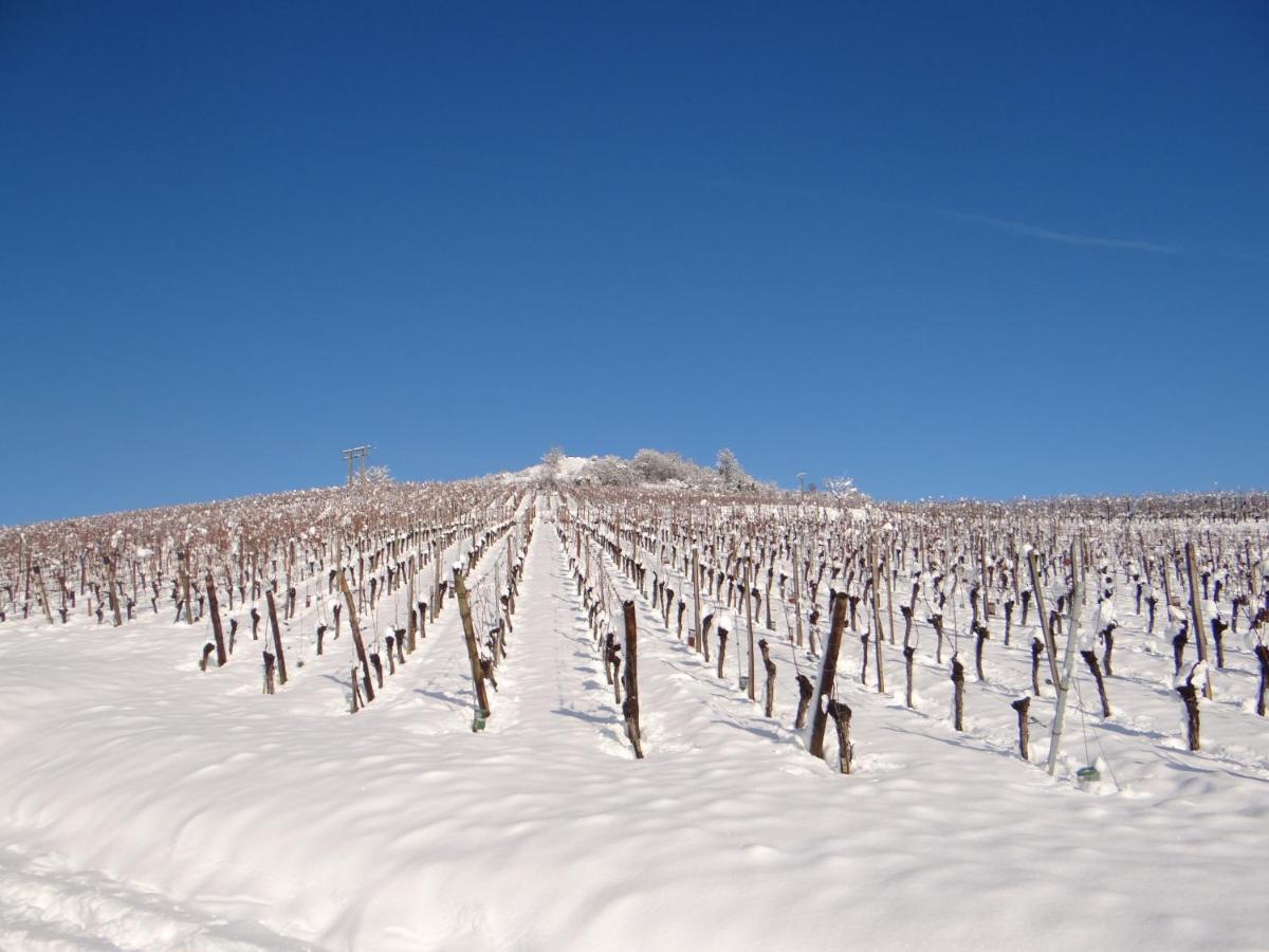 Апартаменты Au Coeur Des Vignes Бергхейм Экстерьер фото