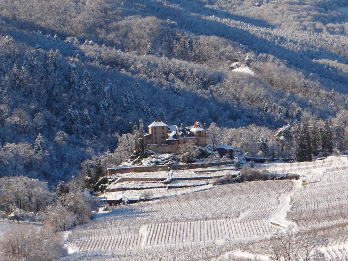 Апартаменты Au Coeur Des Vignes Бергхейм Экстерьер фото