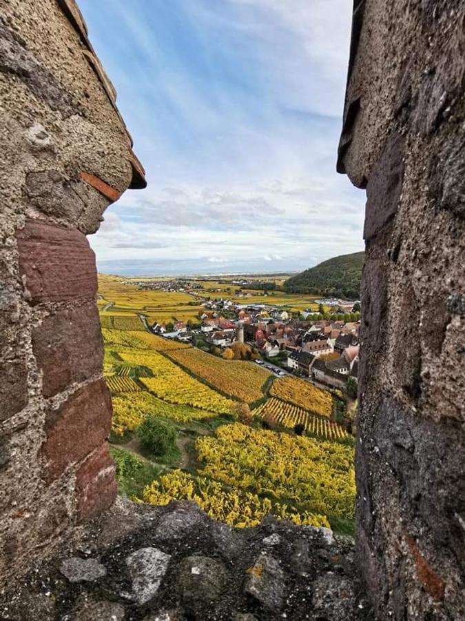 Апартаменты Au Coeur Des Vignes Бергхейм Экстерьер фото